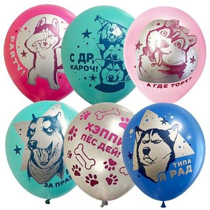 Воздушные шарики на День Рождения Хаски